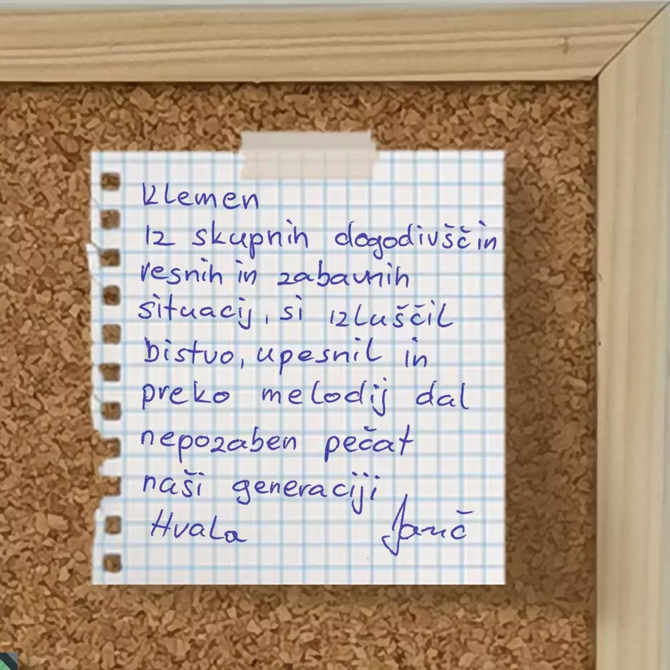 Vse cvetke in marjetke – ovitek 12 od 20